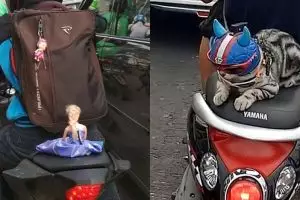 Bukan manusia, yang dibonceng 9 orang ini bikin ketawa ngakak