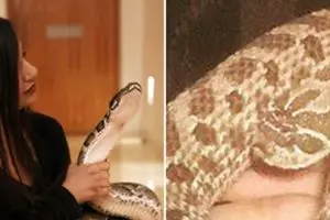 Wanita cantik ini hidup mesra dengan 16 ularnya, bikin merinding