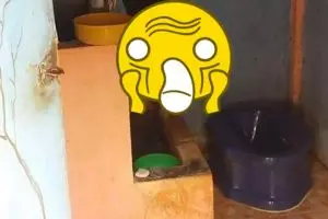 Gambar di WC umum ini bikin kamu yang penakut nggak jadi kebelet