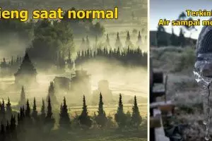 Suhu tembus -5 derajat, ini 7 penampakan Dieng bak musim dingin Eropa