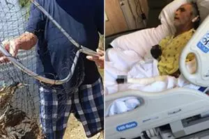 Gara-gara tergores cangkang kepiting, nasib lelaki ini di ujung tanduk