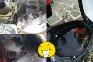 Cara memanfaatkan 7 benda ini bukti orang Indonesia terlalu kreatif