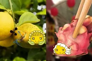 12 Editan hewan dan buah jadi satu ini keren parah