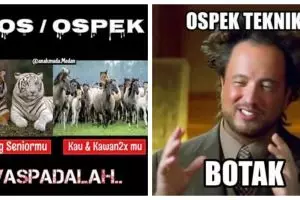 10 Meme kerasnya ospek mahasiswa ini bikin kamu ngakak sambil push up