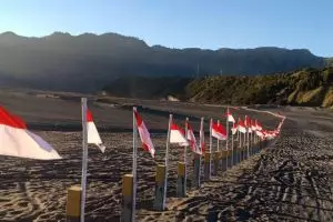 Baru sehari dipasang, ribuan bendera di Gunung Bromo mulai hilang