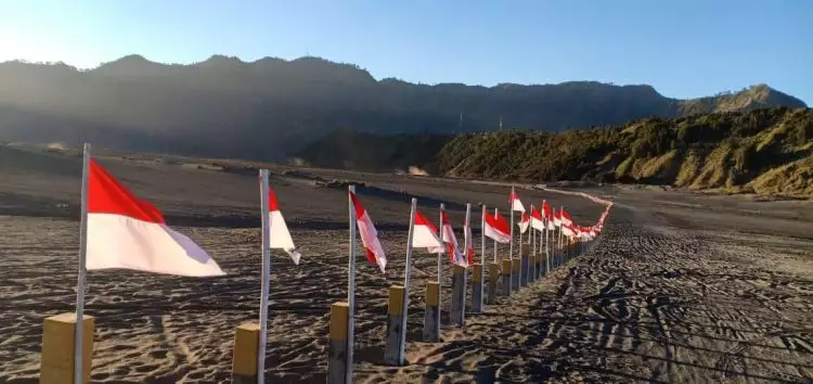 Baru sehari dipasang, ribuan bendera di Gunung Bromo mulai hilang