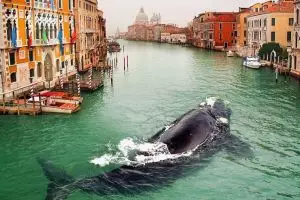 10 Potret menakjubkan ini diedit cuma pakai smartphone, wow banget