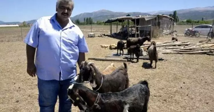 Krisis dana, klub sepak bola ini jual 18 pemain untuk beli 10 kambing