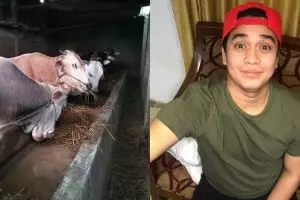 3 Seleb Tanah Air ini ternyata bisnis hewan ternak, laris di Idul Adha
