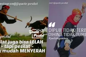 10 Kata-kata bijak tentang pencak silat ini bikin kamu mawas diri