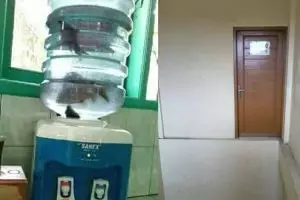 10 Benda ini bikin kamu bertanya-tanya apa fungsinya, nyeleneh abis