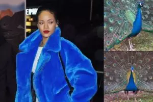 10 Cocoklogi Rihanna bergaun nyentrik dengan burung, bikin cekikikan