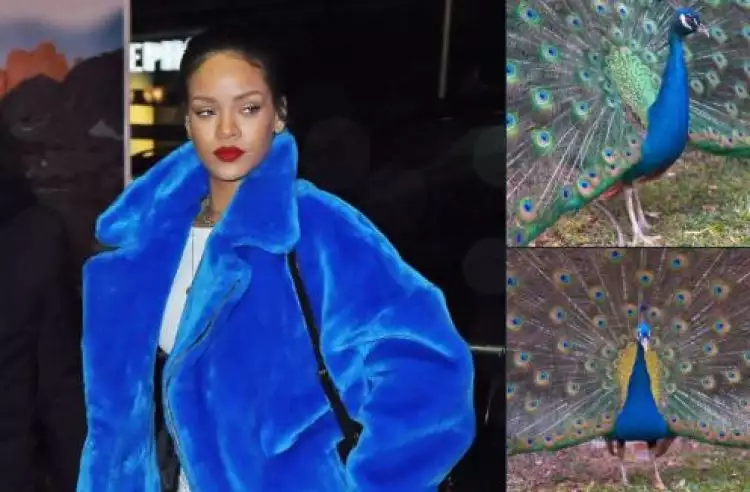 10 Cocoklogi Rihanna bergaun nyentrik dengan burung, bikin cekikikan