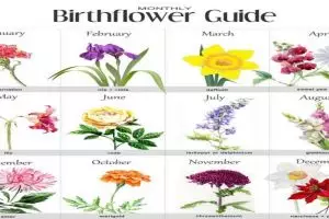 12 Jenis bunga ini bisa representasikan kepribadian sesuai bulan lahir