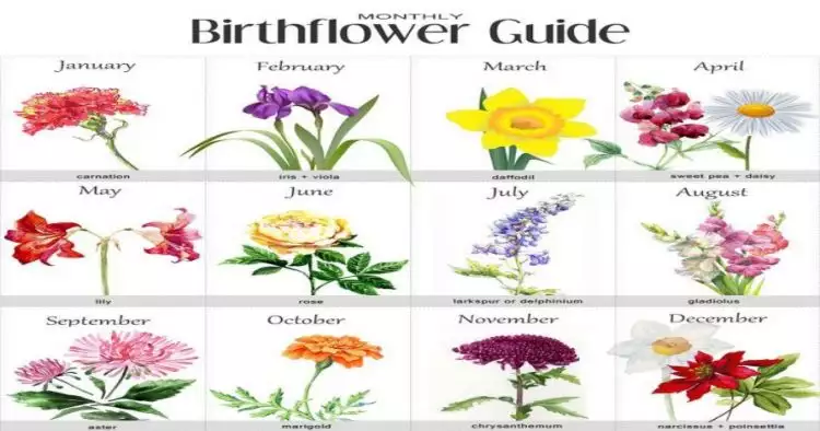 12 Jenis bunga ini bisa representasikan kepribadian sesuai bulan lahir