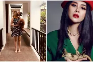 8 Gaya Aura Kasih bikin salah fokus, pose sama kadal sampai jadi kuda