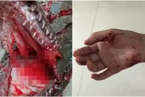 Asyik beri makan ikan di kolam, anak ini digigit makhluk mengerikan