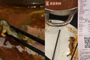 Gara-gara heboh berita tikus di sup, restoran ini merugi Rp 2,8 T 