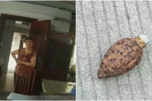 Nenek ini baru sadar beri granat untuk mainan cucunya selama 3 tahun