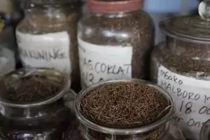 Toko tembakau dan cengkeh ini bertahan hampir seabad, wow banget