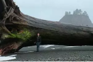 Terdampar di pinggir pantai, 10 benda temuan ini sungguh mengejutkan