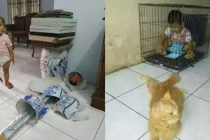 10 Tingkah polos balita ini kocaknya bikin beban hidup berkurang