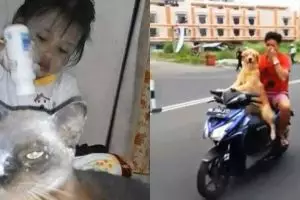 7 Potret pertemanan manusia dan hewan ini akrabnya bikin ngakak