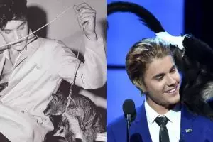 7 Selebriti ini punya peliharaan unik, dari harimau sampai walabi