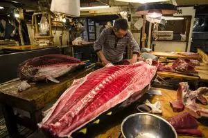 Tergusur, ini 7 fakta unik pasar ikan Tsukiji Jepang terbesar di dunia