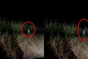 Penampakan hantu anak kecil di semak-semak ini bikin merinding