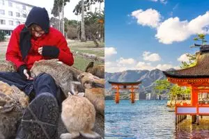 5 Spot wisata unik Hiroshima yang wajib kamu coba, ada Pulau Kelinci
