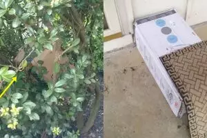 10 Cara kurir antarkan barang saat orang tidak di rumah ini bikin kzl