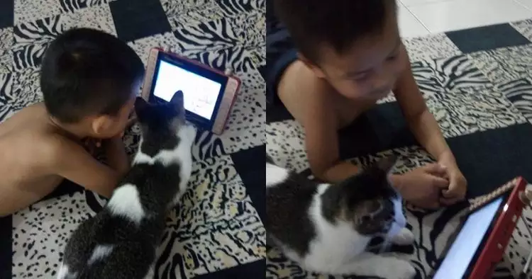 Bocah ini ajari kucing main gadget, endingnya bikin nyesek