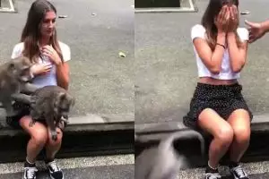 Main dengan monyet di Bali, bule cantik ini alami kejadian tak terduga