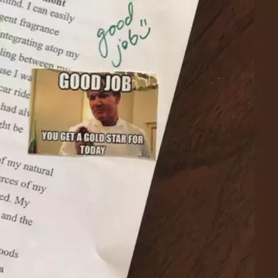 Bukan pakai angka, guru ini beri nilai sekolah dengan stiker meme unik