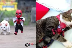 10 Potret jika Spider-Man sahabatan sama kucing ini kocak pol