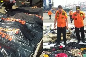 5 Fakta ditemukannya 48 kantong korban kecelakaan Lion Air JT 610