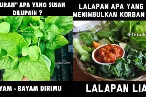 10 Tebak-tebakan lucu nama sayuran bikin mikir dua kali