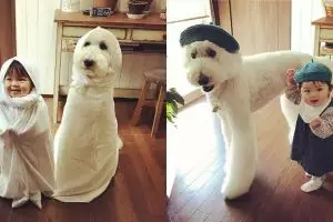 10 Tingkah lucu bocah dan anjingnya ini bikin gemes