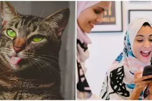 111 Tebak-tebakan nama hewan, receh abis dan auto ngakak 