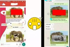 10 Gombalan lucu pakai tebak-tebakan hewan ini bikin ketawa