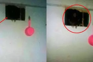 Penampakan seram di kamar mandi ini endingnya nggak terduga