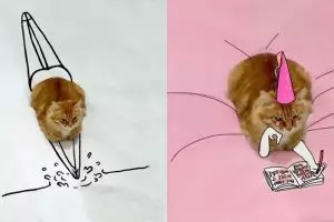 15 Foto lucu kreasi gambar dari kucing duduk ini hasilnya kocak