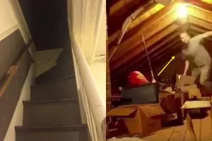 Kisah terungkapnya sumber suara aneh di loteng ini bikin syok