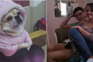 20 Foto tak biasa ini menipu mata, bikin kamu mikir dua kali