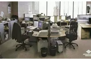 Coba tebak ada berapa makhluk hidup di 5 gambar ini?