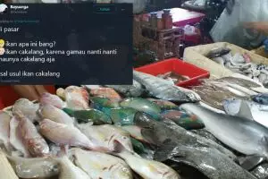 15 Cuitan lucu 'asal-usul ikan' ini bikin susah nahan tawa