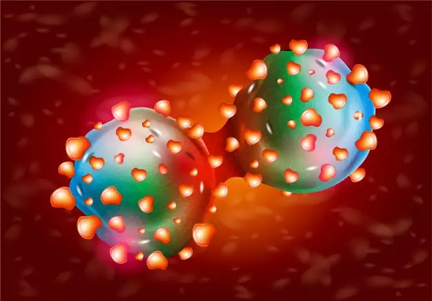 25 Manfaat minyak zaitun © berbagai sumber 25 Manfaat minyak zaitun © berbagai sumber