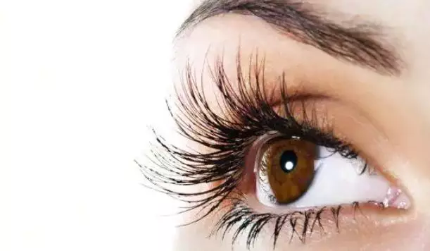 25 Manfaat minyak zaitun © berbagai sumber 25 Manfaat minyak zaitun © berbagai sumber