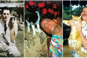 18 Foto langka Freddie Mercury bersama kucing kesayangannya